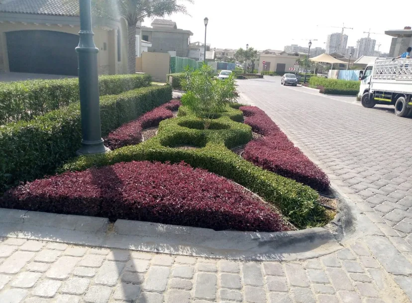 Terrace Garden India landscape project