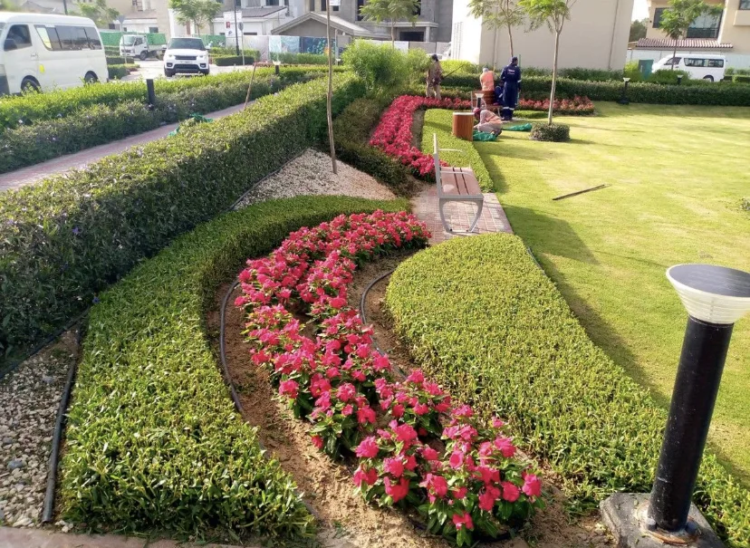 Terrace Garden India landscape project
