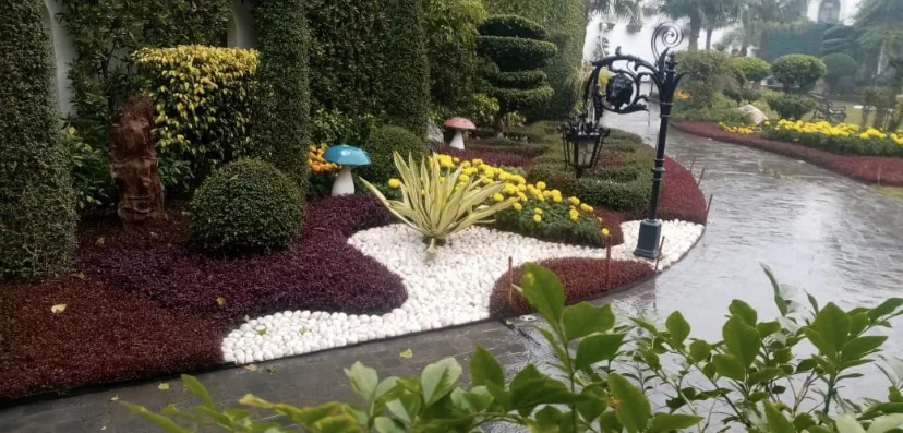 Terrace Garden India landscape project
