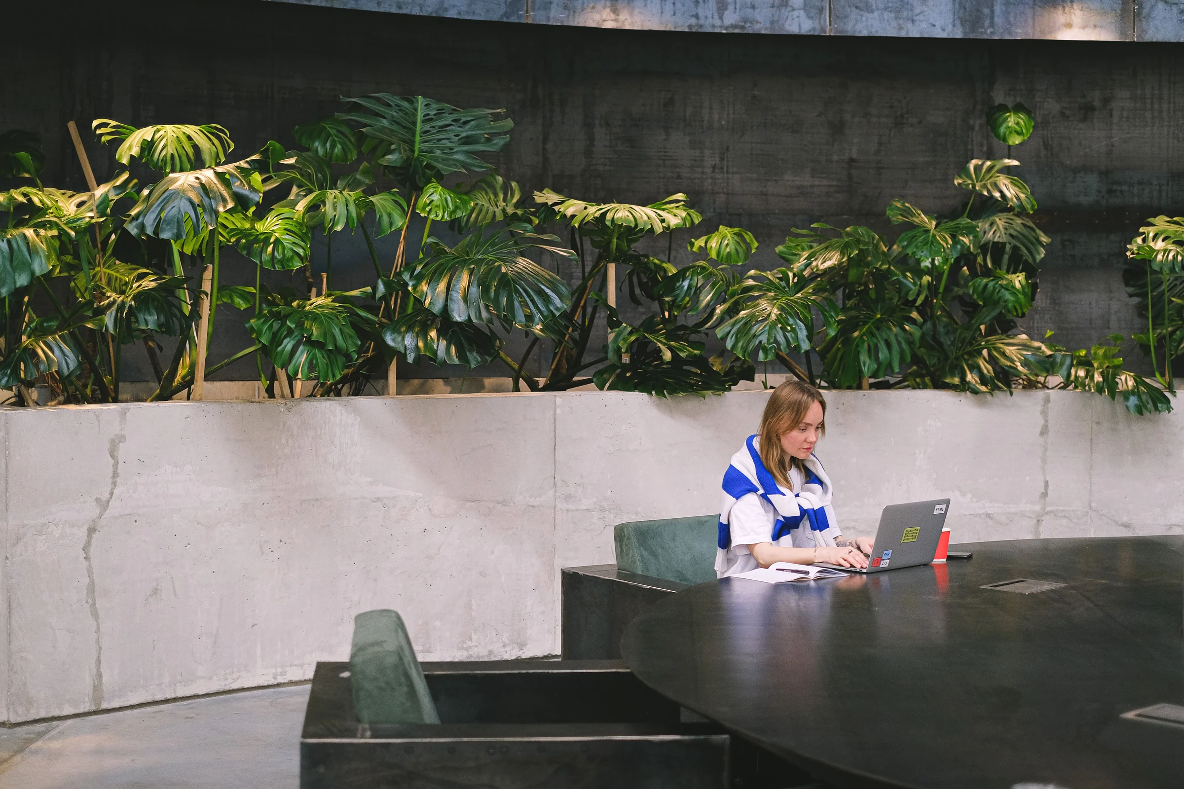 Indoor space softened with considered greenery