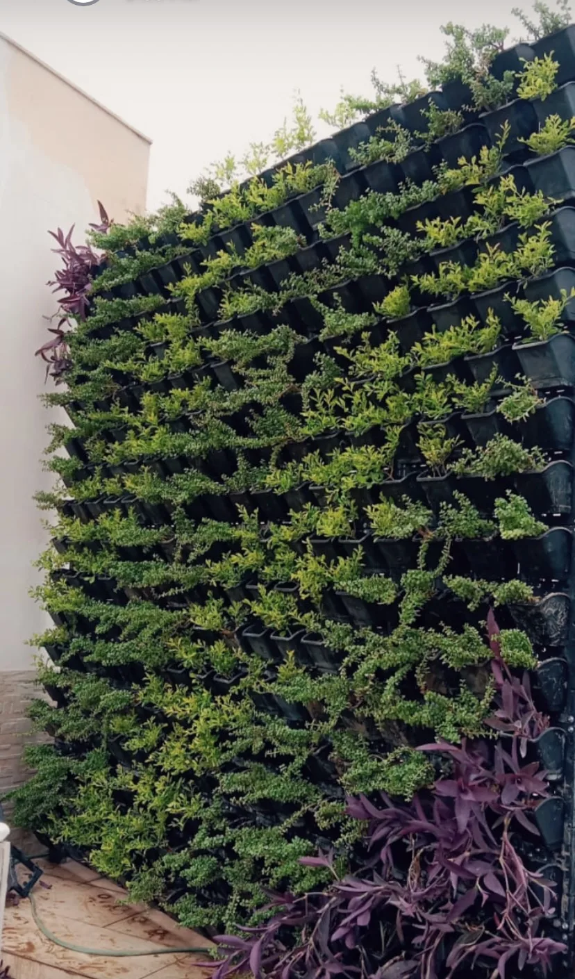 Japanese Zen and vertical garden project detail 10